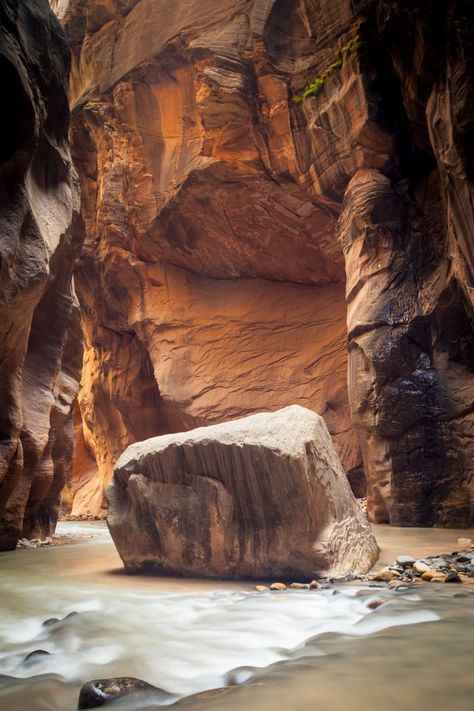 Hiking the Narrows, Zion National Park, Utah Narrows Zion National Park, Temple Of Sinawava, Hiking The Narrows, Natural Light Portrait, Virgin River, The Narrows, American National Parks, Zion Canyon, Light Portrait