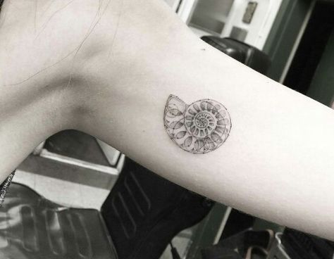 Nautilus shell tiny tattoo Woo Tattoo, Discrete Tattoo, Nautilus Tattoo, Girl Tattoo Ideas, Fibonacci Tattoo, Shell Tattoo, Seashell Tattoos, Shell Tattoos, Dr Woo