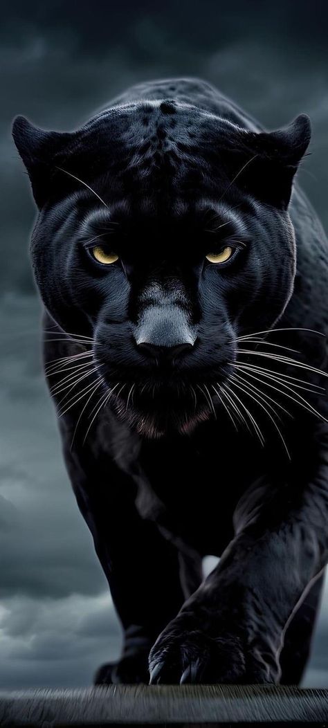 Black Puma Animal, Black Panther Pictures, Black Jaguar Wallpaper, Pantera Wallpaper, Black Pantera, Black Panther Wallpaper, Black Panther Animal, Dark Panther, Puma Animal