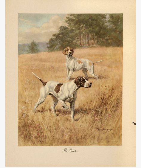 Dogs Ideas, Home Library Decor, Hunter Dog, English Pointer, Hunting Art, Pointer Dog, Dog Artwork, Deer Art, Hunting Dog