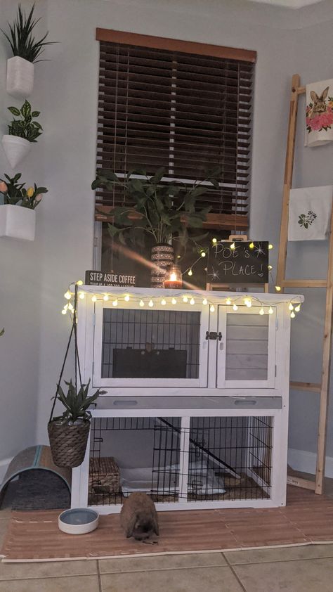 Outside Bunny Cages Diy, Small Bunny Enclosure Indoor, Cute Bunny Cages Indoor, Bunny Inside House, Cute Bunny House Ideas, Rabbit Cage Indoor Ideas, Rabbit Indoor House Ideas Diy, Diy Bunny Cage Indoor House Rabbit Ideas, Freeroam Bunny Setup