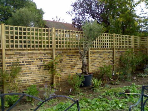 Alternative fence idea - combination brick and wood to make a very tall privacy fence Pergola Decor, Brick Wall Gardens, Garden Trellis Fence, Wall Trellis, Trellis Fence, Cheap Pergola, Privacy Fence Designs, Trellis Panels, Garden Privacy