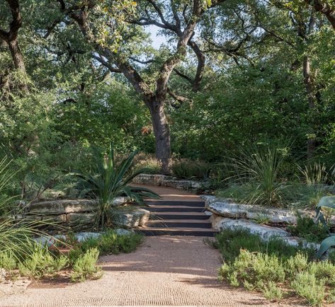 Hardscaping 101: Rain Gardens Low Water Gardening, Garden Magic, Tiered Garden, Sloped Garden, Gardening 101, Rain Garden, Public Garden, Garden Tours, Easy Garden