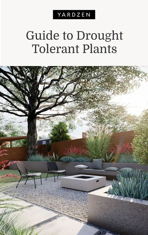 We hear the term “drought tolerant” all the time when discussing water conservation and planting. What exactly does it mean? Why is it important? Modern Drought Resistant Landscaping, Texas Hill Country Backyard Landscaping, Drought Friendly Backyard, Modern Drought Tolerant Landscape, Water Tolerant Landscaping, California Drought Tolerant Landscape, Xeroscaping Backyard, Drought Tolerant Backyard, Drought Tolerant Landscape Backyard