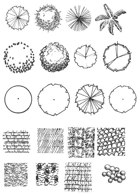 landscape plants in plan brush by Arharsh46 Lighting Symbols, Architectural Trees, Plant Sketches, Landscape Design Drawings, Landscape Architecture Drawing, Tree Plan, Tree Sketches, Landscape Sketch, Architecture Design Sketch