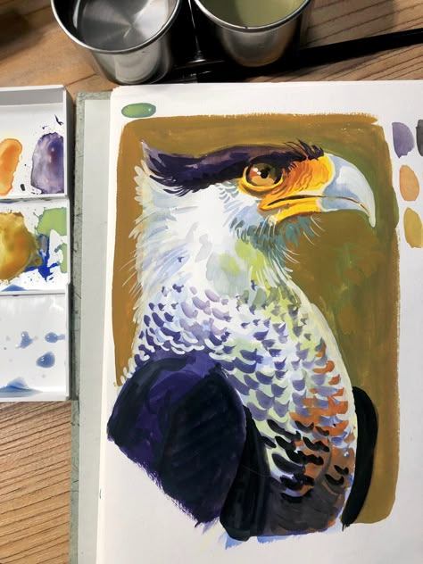 Finch on X: "gouache test with one of my favourite burds https://t.co/gupPvP9Ual" / X Warrior Cats Drawings, Bultaco Motorcycles, Watercolor Study, Cats Drawings, Gouache Illustrations, Realism Painting, Traditional Artwork, Lovely Creatures, Bird Artwork