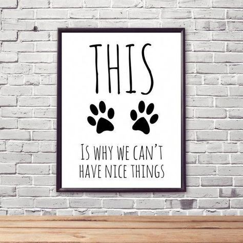 Dog Bedroom, Printable Dog, Dog Wall Decor, Mobile Home Decorating, Decor Quotes, Dog Rooms, Classic Home Decor, Up House, Bedroom Wall Decor