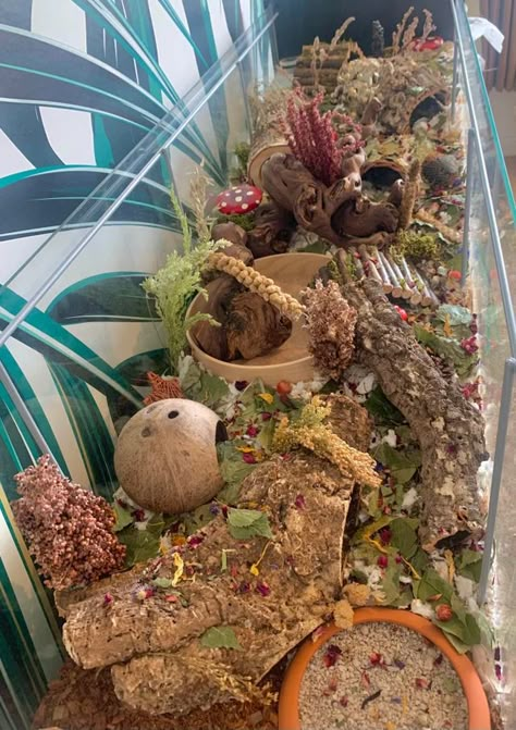 Diy Snail Enclosure, Naturalistic Mouse Enclosure, Proper Hamster Cage, Mouse Tank Setup, Fairy Garden Hamster Cage, Christmas Hamster Cage, Hamster Cage Ideas Tanks, Hamster House Ideas, Hamster Cage Ideas Aesthetic