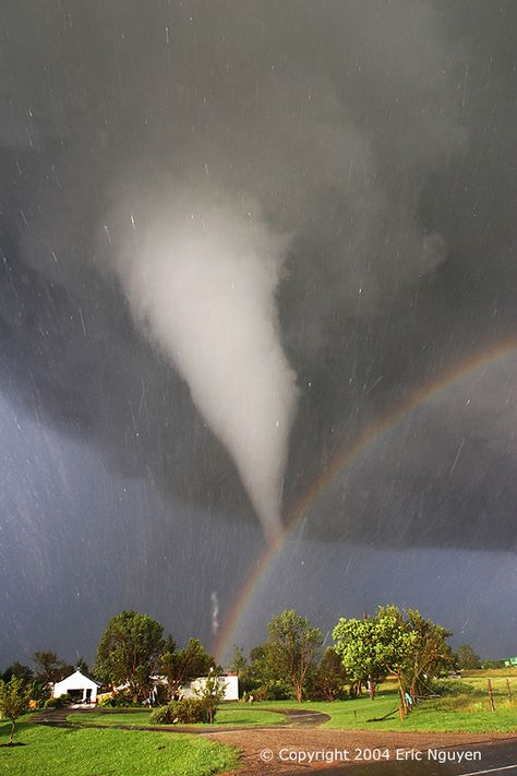 and of course: this famous (deservedly so) photograph Tornado Clouds, Wild Weather, Foto Art, Natural Phenomena, Alam Yang Indah, A Storm, Over The Rainbow, Extreme Weather, Science And Nature