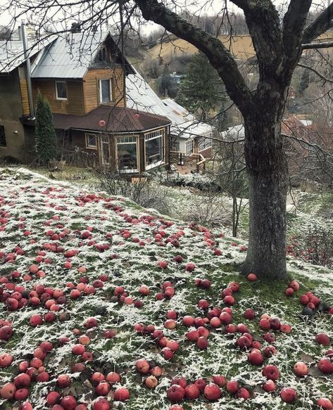 Unusual Houses, Live Drawing, Countryside House, Autumn Cozy, Winter Aesthetic, Autumn Aesthetic, Autumn Photography, Aesthetic Photo, My Dream Home