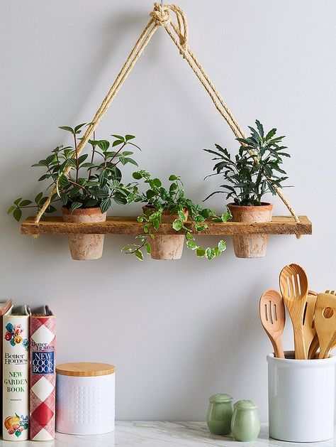 hanging planter rope shelf in kitchen Hanging Rope Shelves, Diy Hanging Planter, Plant Pot Holders, Hanging Plants Indoor, Hanging Plant Holder, Diy Plant Hanger, Rope Shelves, Macrame Plant Holder, Hanging Plant