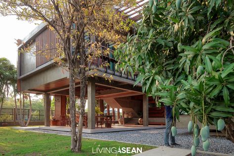 From Old Home to Stunning House on Stilts / Living ASEAN Stilted House, House On Stilt, Stilt House, Stilt Houses, Thai House, Wood And Concrete, Concrete Houses, House On Stilts, Beachfront Home