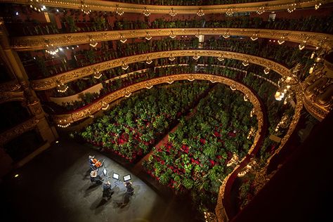 Barcelona Opera House Reopens With A Performance In Front Of A Majestic Crowd Of 2,292 Plants Hospital Workers, Conceptual Artist, Drive In Movie, String Quartet, Open Air, National Geographic, Opera House, Transformers, City Photo