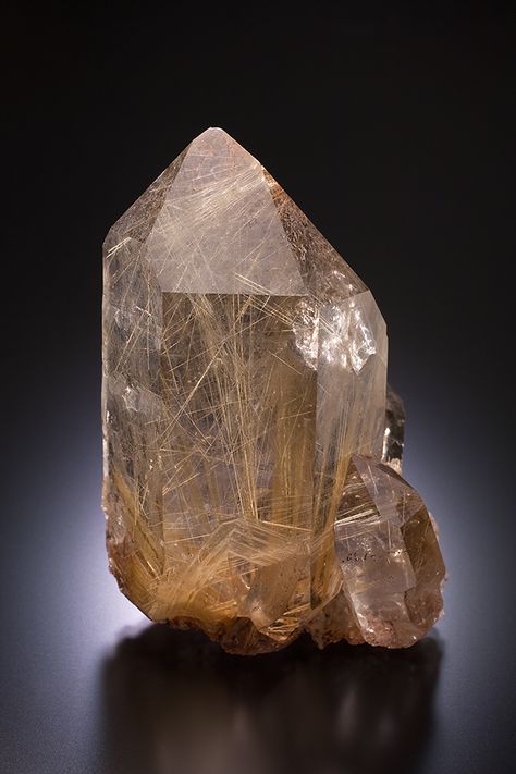 Rutilated Quartz (Fully terminated, sharp quartz crystals with golden yellow acicular rutile inclusions.) - from Novo Horizonte, Bahia, Brazil Bahia Brazil, Rutile Quartz, Minerals And Gemstones, Rocks And Gems, Quartz Crystals, Rutilated Quartz, Golden Yellow, Rocks And Minerals, Nature Beauty