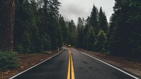 Download wallpaper 1920x1080 road, marking, trees, turn, asphalt, forest full hd, hdtv, fhd, 1080p hd background Wald Wallpaper, Road Background, Nature Desktop Wallpaper, Ed Wallpaper, Macbook Pro Wallpaper, Desktop Wallpaper Macbook, Nature Desktop, Macbook Air Wallpaper, Ipad Air Wallpaper