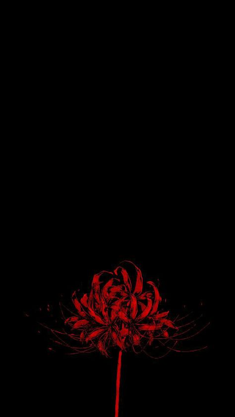 Red Spider Lily Aesthetic Wallpaper, Tokyo Ghoul Flower Wallpaper, Black Red Wallpaper Aesthetic, Dark Red Anime Wallpaper, Japanese Wallpaper Aesthetic Black, Red Flowers Aesthetic Wallpaper, Red Lily Spider, Spider Lily Aesthetic, Red Spider Lily Wallpaper