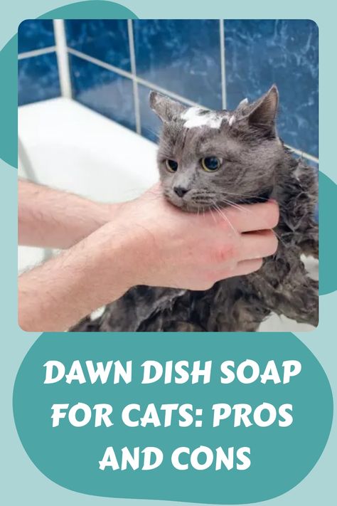 Diy Cat Bath Soap, Flea Bath For Kittens, Fleas On Kittens, Killing Fleas, Cat Wash, Natural Pet Care, Cat Shampoo, Cat Skin, Cat Bath