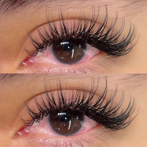 Light Wispy Lash Extensions, Wispy Lash Extensions, Wispy Set, New Kitten, Instagram Light, Wispy Lashes, Lash Artist, Lash Extensions, Eyelash Extensions