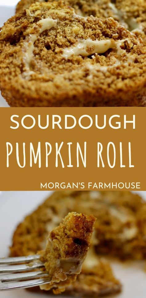 Sourdough Pumpkin, Autumn Dessert, Pumpkin Roll Cake, Pumpkin Rolls Recipe, Homegrown Food, Pumpkin Cinnamon Rolls, Pumpkin Roll, Soften Cream Cheese, Roll Cake