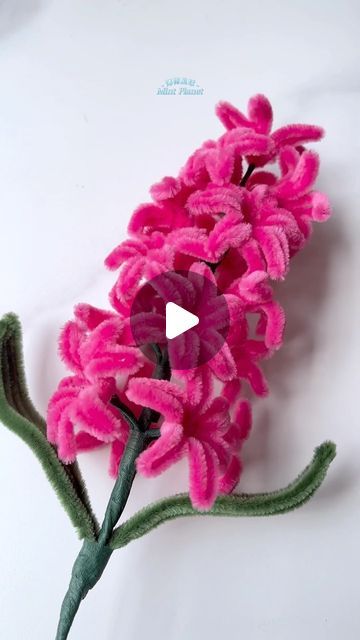 薄荷星球MintPlanet on Instagram: "hyacinth hyacinthus orientalis  pipe cleaners production process #hyacinthusorientalis #hyacinth #handmade #Bouquet #手作   #pipecleaners #手工 #雪尼尔杆 #chenille #扭扭棒 #flowers #braid #decoration #pendant" Flowers Made From Pipe Cleaners, Pipe Cleaner Crafts For Kids Flowers, Flowers With Pipe Cleaners, Flowers Made Out Of Pipe Cleaners, Flower Pipe Cleaner Bouquet, Pipe Cleaner Tutorial, How To Make Flowers Out Of Pipe Cleaners, Easy Pipe Cleaner Flowers, Pipe Cleaner Leaves