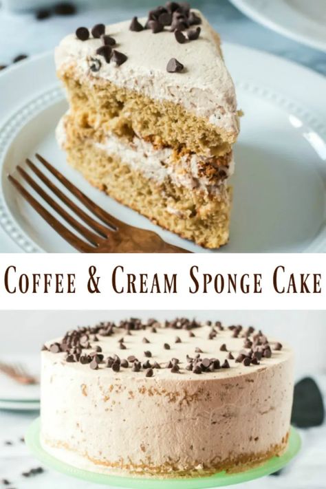 Layers of coffee infused sponge cake wrapped in a fluffy mocha whipped cream, this cake is a coffee lover's dream come true! Coffee and cream sponge cake is a grown up dessert that is sure to impress. Mocha Whipped Cream, Cakes Coconut, Cakes Strawberry, Cakes Vanilla, Coconut Cakes, Butter Cakes, Blogger Ideas, Coffee Desserts, Mocha Cupcakes