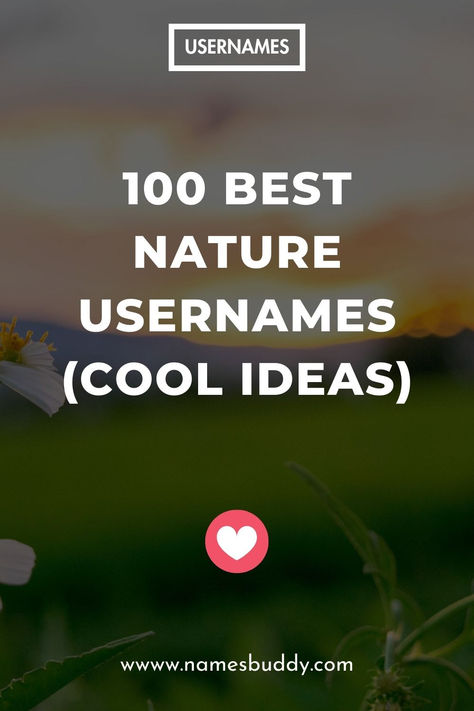 100 Best Nature Usernames Username Ideas For Nature Account, Earthy Instagram Usernames, Nature Photography Instagram Username, Beautiful Username Ideas, Sunshine Username Ideas, Earthy Username Ideas, Rain Username Ideas, Nature Highlight Name Instagram, Nature Username Ideas