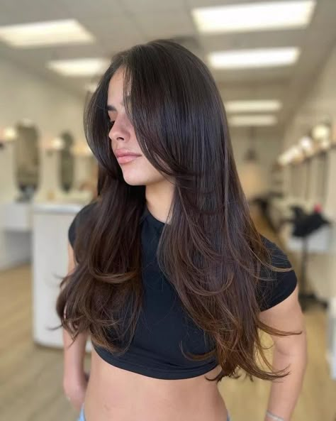 Layers For Straight Hair, Haircuts For Long Hair Straight, Haircut Ideas For Long Hair, Ideas For Long Hair, Rambut Brunette, Haircuts For Long Hair With Layers, Fixing Spray, Brown Hair Looks, Brown Hair Inspo