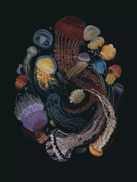 Artist's Incredibly Detailed Biodiversity Illustrations Merge Art With Science Biodiversity Project, Science Painting, Moodboard Portfolio, Drawing Natural, Design Exploration, Rare Fish, Biology Art, Jellyfish Art, Colossal Art