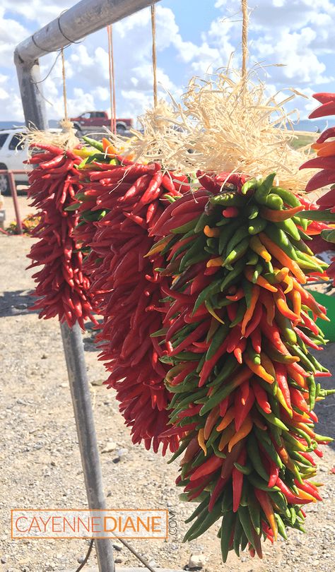 How to Dry Peppers - Cayenne Diane Cayenne Pepper Wreath, How To Preserve Cayenne Peppers, Drying Hot Peppers, Drying Cayenne Peppers, Preserving Cayenne Peppers, How To Dry Cayenne Peppers, Vegetable Preserving, How To Store Peppers, Pickle Eggs