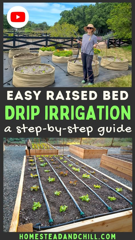 Raised Bed Irrigation, Raised Garden Beds Irrigation, Garden Watering System, Vegetable Garden Raised Beds, Building A Raised Garden, Plants Growing, Diy Raised Garden, Raised Garden Beds Diy, Vegetable Gardens