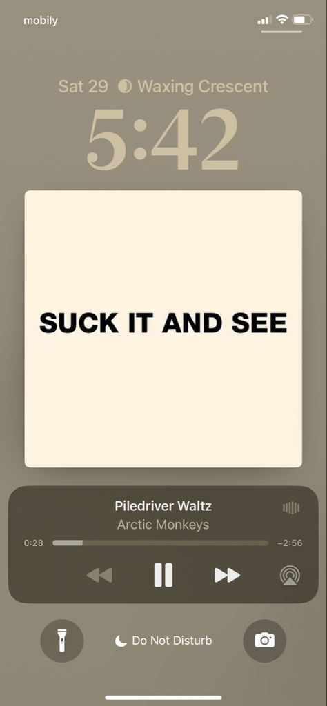 Piledriver waltz Piledriver Waltz Arctic Monkeys, Piledriver Waltz, Crazy Ideas, Monkey 3, Artic Monkeys, Waltz, Arctic Monkeys, Monkeys, Make Me Happy