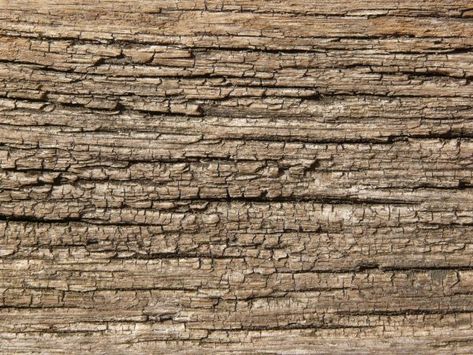 Old brown wood texture with heavy, rough horizontal ruts in its surface. Rough Wood Texture, Interior Textures, Wood Texture Seamless, Brown Wood Texture, Garden Totem, Tree House Plans, Tree Textures, Rough Wood, Wooden Log