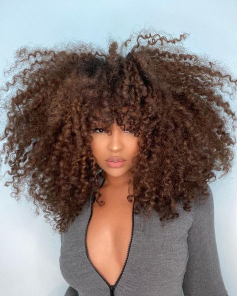 Alexandra on Instagram: “Category is HAIR” African American Women Hairstyles, Curly Fro, Goddess Hairstyles, Natural Curls Hairstyles, Natural Curls, Dream Hair, Black Women Hairstyles, Pretty Face, Hair Hacks