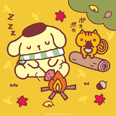 Purin and Bagel enjoying the crisp Autumn air Pompom Purin, Sanrio Pompompurin, Pom Purin, Charmmy Kitty, Kawaii Things, Sanrio Wallpaper, Hello Kitty My Melody, Kawaii Stickers, Little Twin Stars