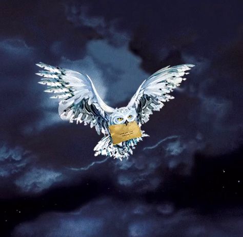 Hedwig the Owl. Harry Potter fandom. White owl. Snowy owl. Messenger. Hedwig Watercolor Painting, Hedwig Painting, Hedwig Harry Potter Owl, Hedwig Drawing, Hedwig Art, Hedwig Flying, Rosè Aesthetic, Hedwig Tattoo, Owl Mural