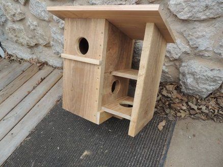 Squirrel Feeder Diy, Squirrel House, Squirrel Home, Squirrel Feeders, Squirrel Feeder, Maple Floors, Nest Box, Bird House Plans, Bird House Kits