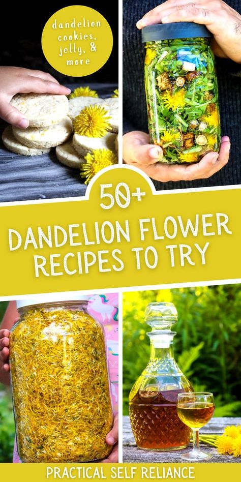 50+ Dandelion Flower Recipes: Edible Flowers Recipes - Learn all about dandelion uses this spring! With over fifty different recipes for everything from dandelion oil to wild foraged dandelion jelly, you can experience the vibrant flavor of these beautiful, edible spring flowers. Learn how to extract the medicinal benefits of dandelion flowers for homemade dandelion wine and even dandelion ice cream. If you're foraging dandelions, you simply must try these dandelion recipes. Oil And Vinegar Salad, Dandelion Infused Oil, Dandelion Uses, Dandelion Salve, Dandelion Oil, Vinegar Salad, Flower Recipes, Roasted Dandelion Root, Dandelion Benefits