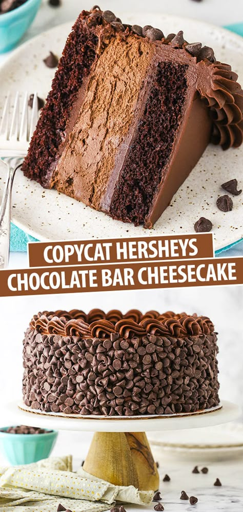 Cheesecake Birthday Cakes, Chocolate Spoonful Cake, Hersheys Cheesecake, Cake And Cheesecake Layered Cake, Decadent Cake Recipes, Chocolate Birthday Desserts, Hershey Cheesecake, Cheesecake Factory Cheesecake Recipes, Best Homemade Cheesecake