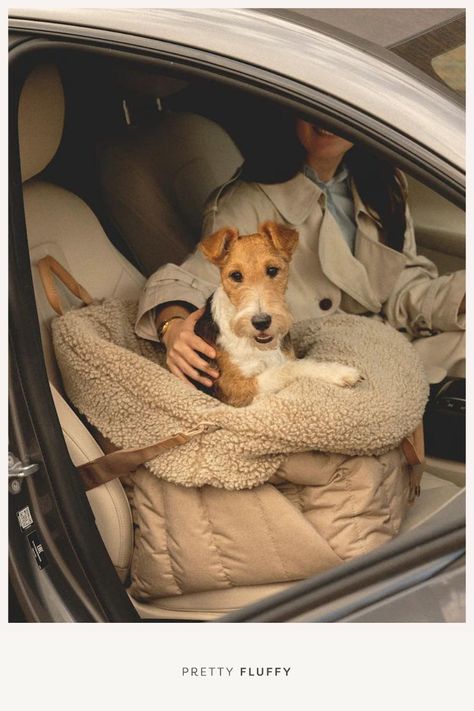 Traveling With Dogs In Car, Dog Brands, Dog Aesthetics, Pet Lifestyle, Dog Lifestyle, Dog Travel Accessories, Dog Brand, Dog Travel Bag, Lux Life