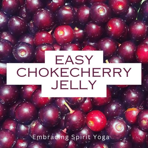 chokecherry jelly Cherry Freezer Jam, Cherry Jelly Recipes, Chokecherry Jelly, Jalapeno Jelly, How To Make Jelly, Easy Jam, Cherry Apple, Freezer Jam, How To Make Jam