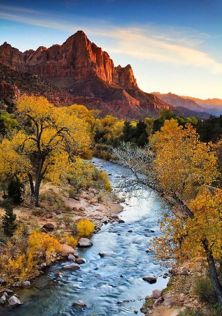 Sunset on the Watchman. Zion National Park, Utah, USA.  Adam Schallau Photography. Zion National Park Photography, Zion National Park Hikes, Virgin River, Utah Road Trip, Zion National Park Utah, National Parks Photography, National Park Photos, Utah Usa, National Park Wedding