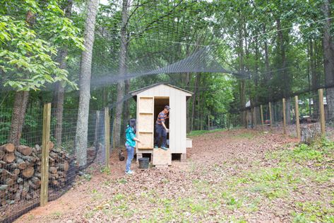 Backyard Chickens and Ducks Run – Nye Noona Open Air Chicken Run, Aviary Netting Chicken Run, Beautiful Chicken Run, Netting Over Chicken Run, Poultry Netting Ideas, Bird Netting Chicken Coop, Duck Runs, Chicken Kisses, Chicken Netting