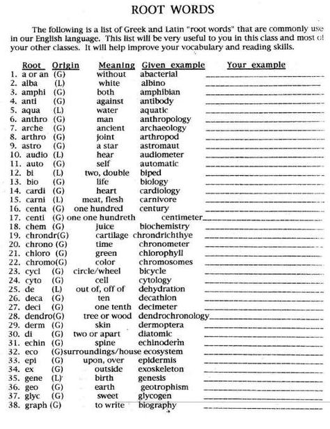 11+ Greek And Latin Science Roots Worksheet High School -  -  Check more at https://printable-sheets.com/11-greek-and-latin-science-roots-worksheet-high-school/ Latin And Greek Roots, Latin Worksheets, Root Words Anchor Chart, Latin Roots Anchor Chart, Latin Root Words, Bsc Nursing, Suffixes Worksheets, Science Chart, 5th Grade Worksheets