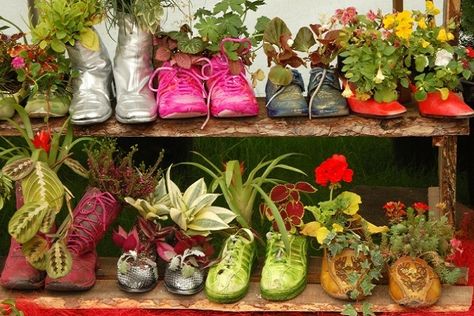 Ten Amazing Things You Can Do With Old Shoes and Trainers Rozanne Geranium, Geranium Rozanne, Container Ideas, Trending On Pinterest, Gardening Trends, Yard Waste, Make Do And Mend, Old Shoes, Spider Plants