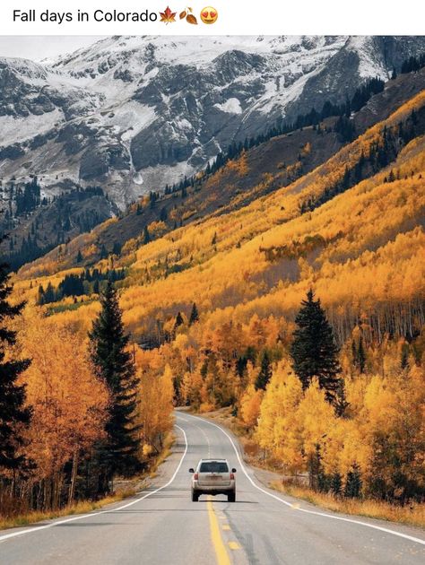 Colorado Fall, Landscaping Images, Beautiful Roads, Us Destinations, Autumn Scenery, Autumn Colors, Belleza Natural, Featured Artist, Nature Pictures