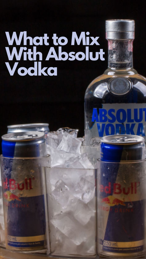 10 Popular Absolut Vodka Mixers Vodka Based Cocktails, Vodka Mixers, Classic Vodka Cocktails, Best Drinks, Vodka Martini, Refreshing Summer Drinks, Creative Cocktail, Absolut Vodka, Citrus Fruits