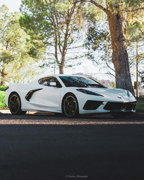 Golden Hour 🧡💛🧡 . @nsane_c8 @carslutt.co @drvn_motor_club . . . #cars #cargram #carinstagram #carphotography #caredits #lasvegas #sincity #fortheboys #yp #foryou #foryoupage #explorepage #trending #trendingreels #trendingsongs #carslutt #bikeslutt #truckslutt #carshows #carmeets #videography #photography #dankestphotography #corvette #drvn Corvette Photography, Corvette Photoshoot, White Corvette, Ashley Johnson, Trending Songs, Sin City, August 11, Car Photography, Golden Hour