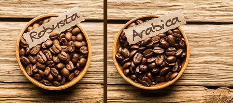 Rate this post Did you know that coffee is actually part of a family of flowering plants called Rubiaceae? Within this […] Different Kinds Of Coffee, Arabica Robusta, Types Of Coffee Beans, Vietnamese Iced Coffee, Robusta Coffee, Coffee Shop Menu, International Coffee, Coffee Facts, Arabica Coffee Beans