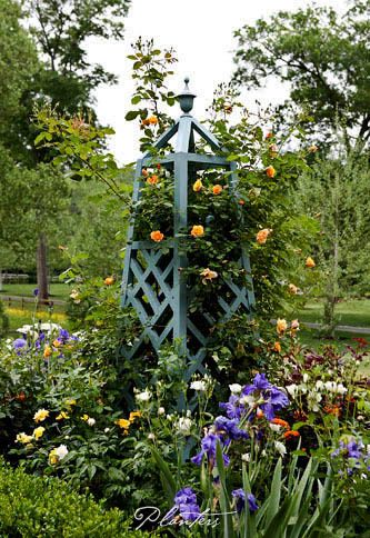 . Atlanta Buckhead, Planters Garden, Garden Obelisk, Georgian House, Easy Landscaping, Traditional Landscape, Landscaping Tips, Garden Trellis, Foliage Plants