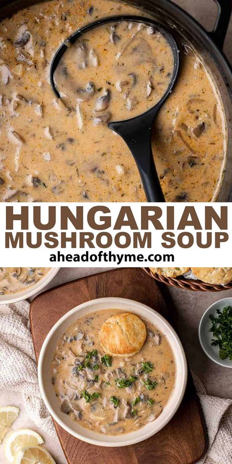 This rich, hearty Hungarian Mushroom Soup features a bounty of tender, earthy mushrooms in a perfectly seasoned, creamy broth. Plus, this nostalgic Hungarian recipe comes together in almost no time at all and is the perfect way to warm up on those cool nights. You just need a little crusty bread, a dollop of sour cream, and dinner is served! Mushroom soup is one of the most comforting types of soup. | aheadofthyme.com #hungarianmushroomsoup #mushroomsoup via @aheadofthyme Soul Warming Hungarian Mushroom Soup, Instant Pot Hungarian Mushroom Soup, Slovak Mushroom Soup Christmas Eve, Spicy Mushroom Soup, Creamy Mushroom Soup Crockpot, Ukrainian Mushroom Soup, Oyster Mushroom Soup Recipe, Best Mushroom Soup Recipes, Mushroom Beef Soup